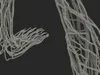 Leg Anatomy Asian Man 3D model | CGTrader