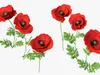 Flowers Collection 5 3D Model Pack | CGTrader