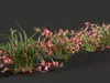 GD26 Orchid Cymbidium Red Boat orchid 3D model | CGTrader