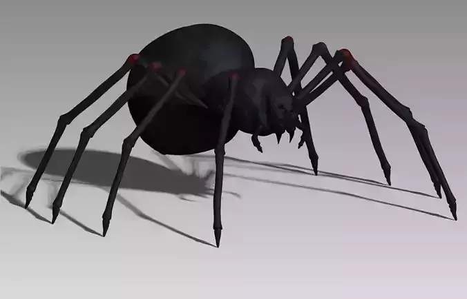 Black spider Low-poly 3D model