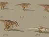 3D model Low Poly and Realistic Dinosaurs II Animated VR / AR / low ...