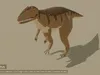 3D model Low Poly and Realistic Dinosaurs II Animated VR / AR / low ...