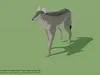 3D model Low Poly and Realistic Wildlife Animated VR / AR / low-poly ...