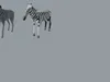 3D model Low Poly and Realistic Savanna Animals Animated VR / AR / low ...