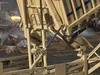 Israeli Military Equipment Collection 3D Model Pack | CGTrader