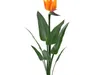Flowers Collection 6 3D Model Pack | CGTrader