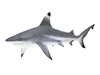 Sharks Collection 2 3D Model Pack | CGTrader