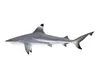 Sharks Collection 2 3D Model Pack | CGTrader
