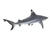 Sharks Collection 2 3D Model Pack | CGTrader