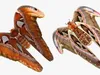 Insects Collection 4 3D Model Pack | CGTrader
