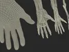 Man Arm Anatomy Realistic 3D model | CGTrader