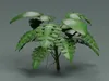 Monstera Deliciosa Realistic Tropical Plant 3D model | CGTrader