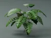 Monstera Deliciosa Realistic Tropical Plant 3D model | CGTrader