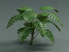 Monstera Deliciosa Realistic Tropical Plant 3D model | CGTrader