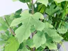 23 Tropical Potted Plants 3D Models Collection 3D model | CGTrader