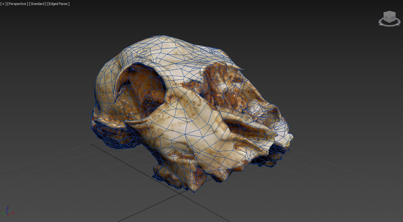 Scanned photorealistic old broken sheep skull Low-poly 3D model_16