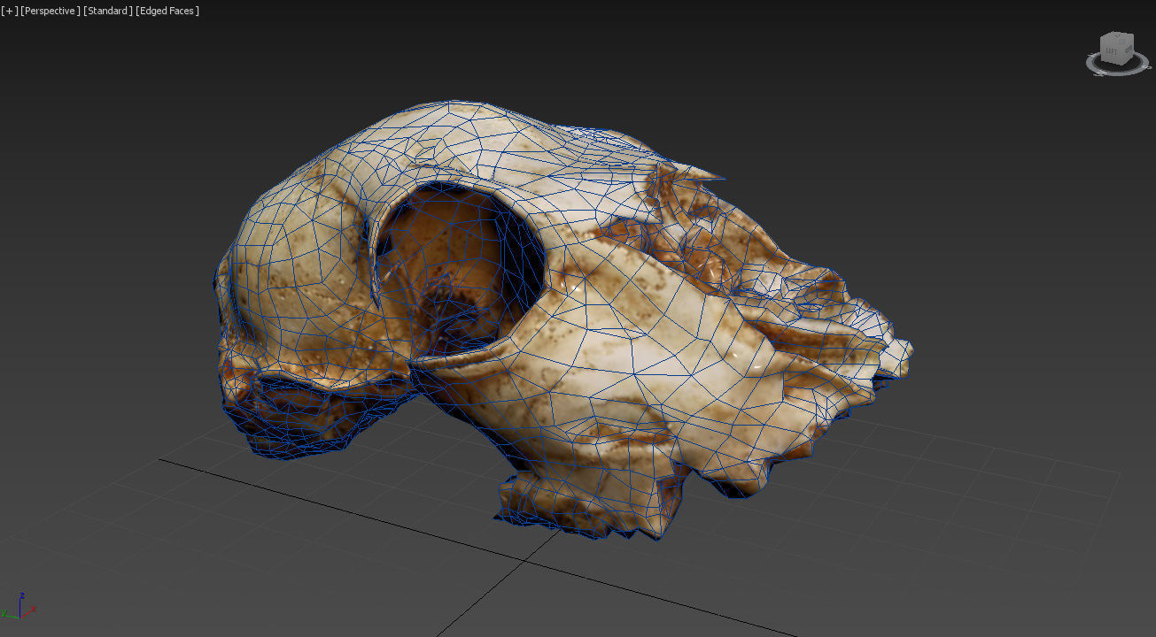Scanned photorealistic old broken sheep skull Low-poly 3D model_17
