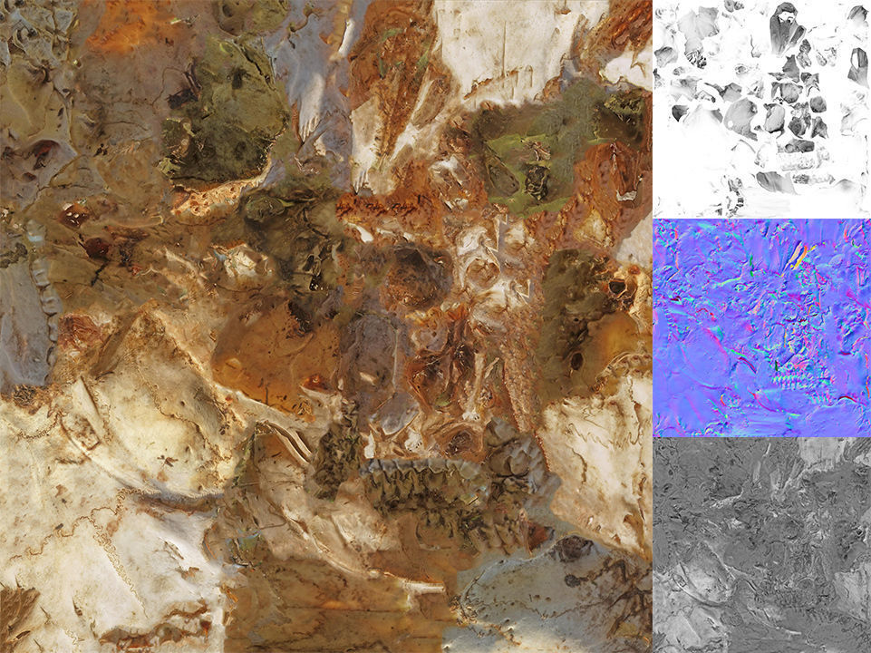 Scanned photorealistic old broken sheep skull Low-poly 3D model_2