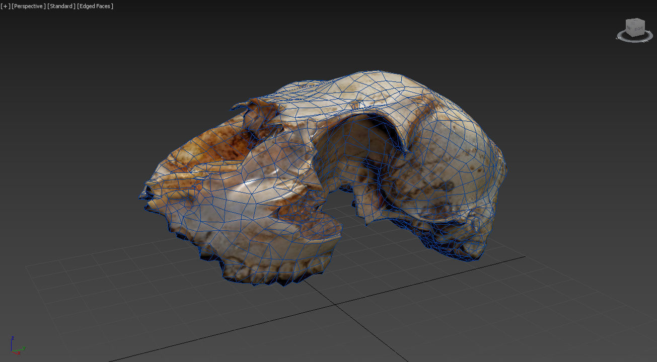 Scanned photorealistic old broken sheep skull Low-poly 3D model_14