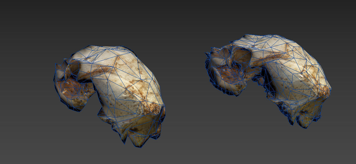 Scanned photorealistic old broken sheep skull Low-poly 3D model_21