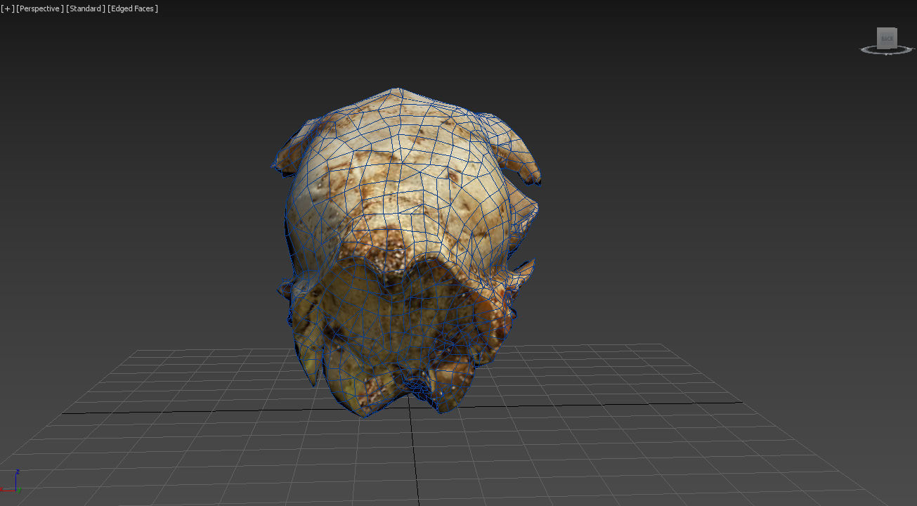 Scanned photorealistic old broken sheep skull Low-poly 3D model_11