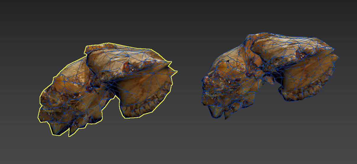 Scanned photorealistic old broken sheep skull Low-poly 3D model_18