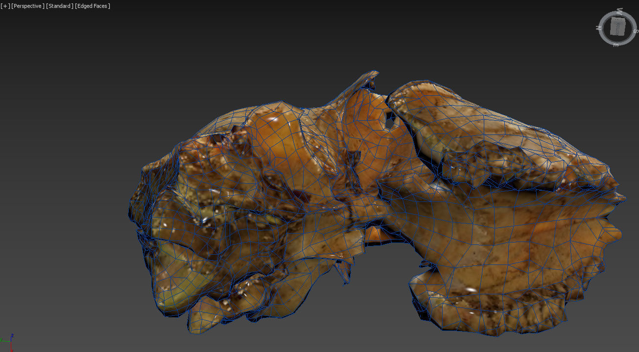 Scanned photorealistic old broken sheep skull Low-poly 3D model_12