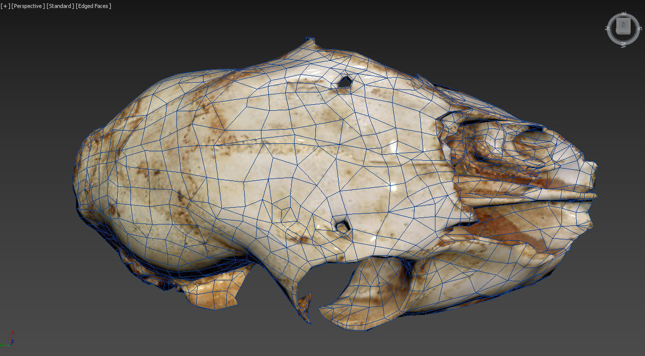 Scanned photorealistic old broken sheep skull Low-poly 3D model_8
