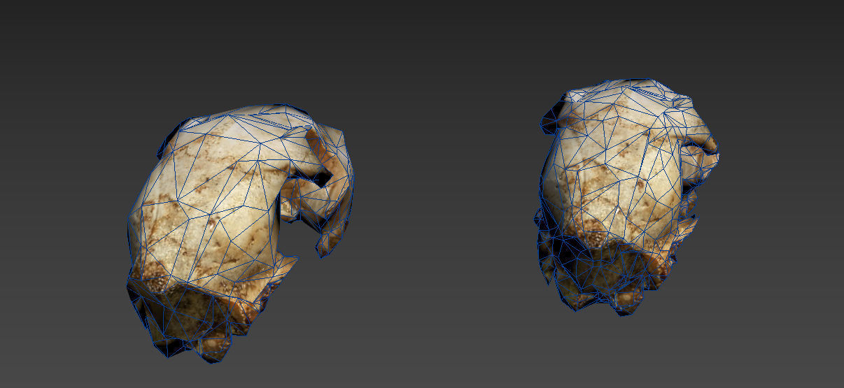 Scanned photorealistic old broken sheep skull Low-poly 3D model_20