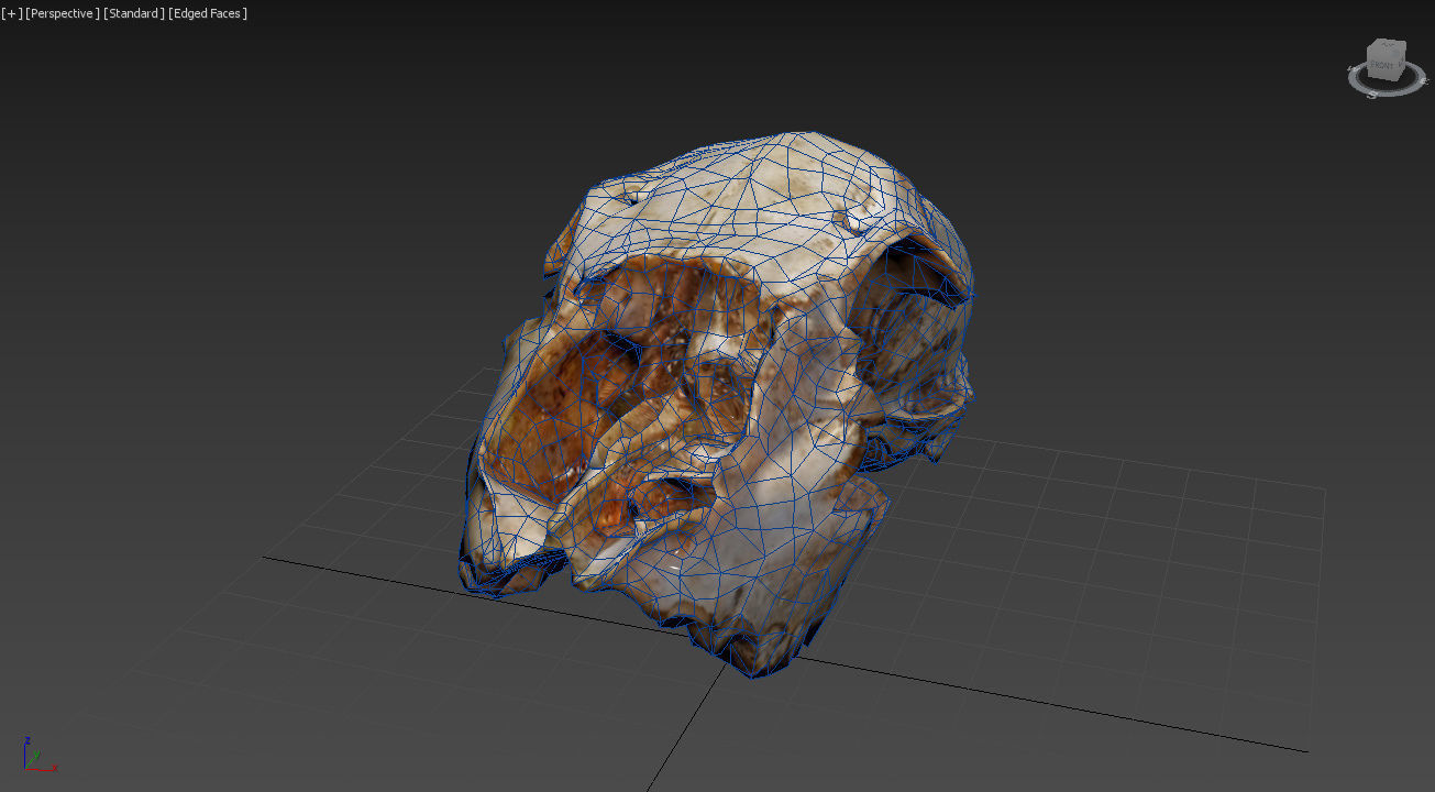 Scanned photorealistic old broken sheep skull Low-poly 3D model_13