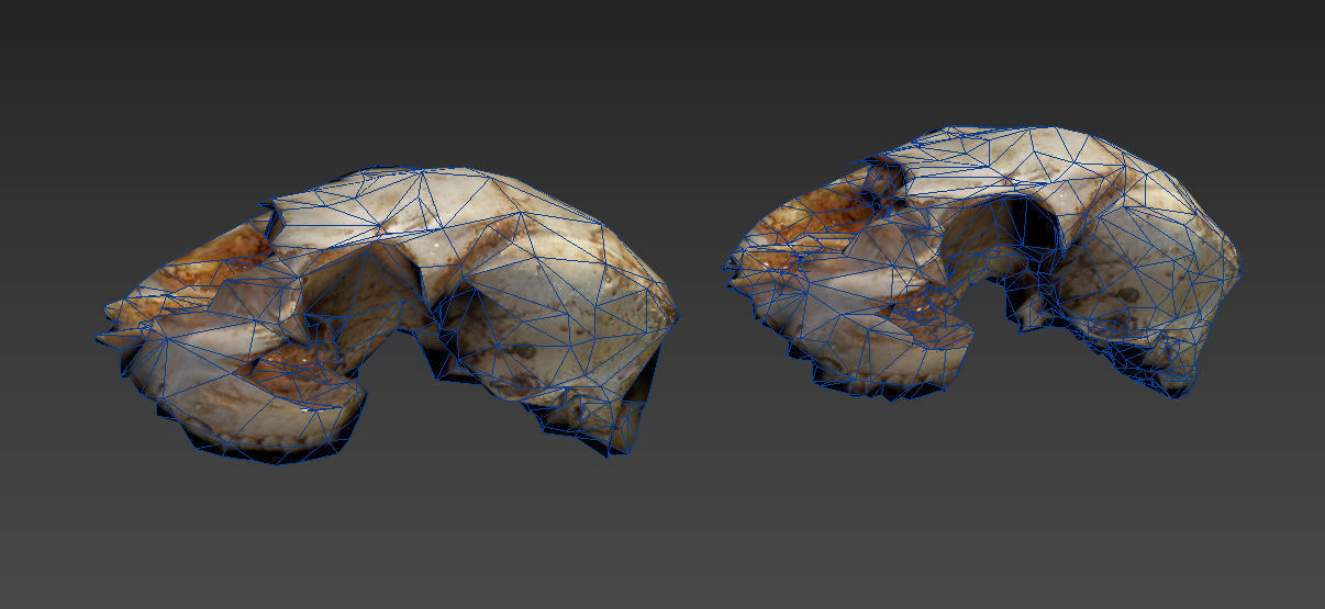 Scanned photorealistic old broken sheep skull Low-poly 3D model_24