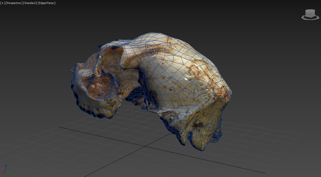 Scanned photorealistic old broken sheep skull Low-poly 3D model_10