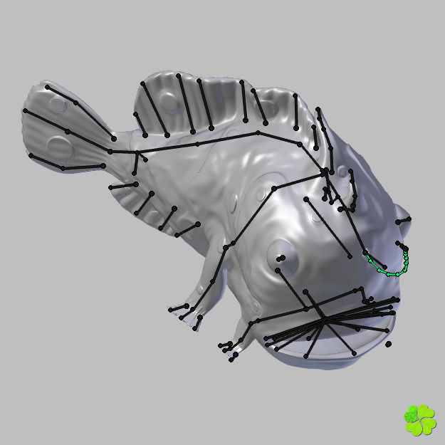 Antennarius rigged low poly Low-poly 3D model_42