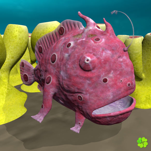 Antennarius rigged low poly Low-poly 3D model_5