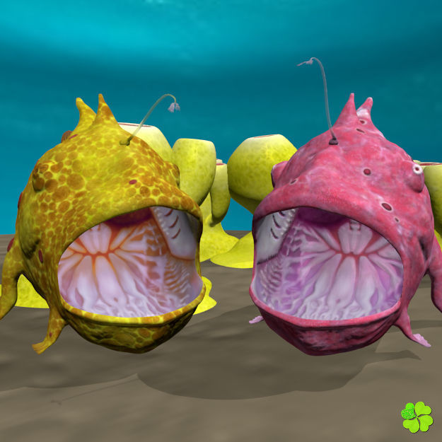 Antennarius rigged low poly Low-poly 3D model_18