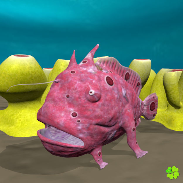 Antennarius rigged low poly Low-poly 3D model_17