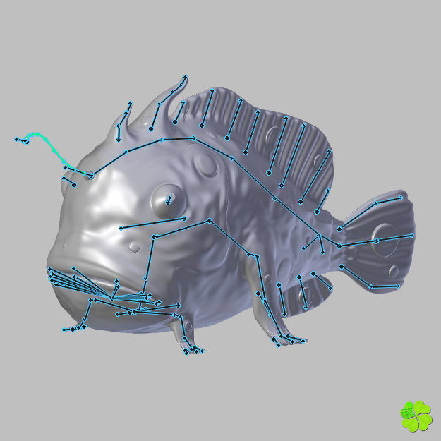 Antennarius rigged low poly Low-poly 3D model_39