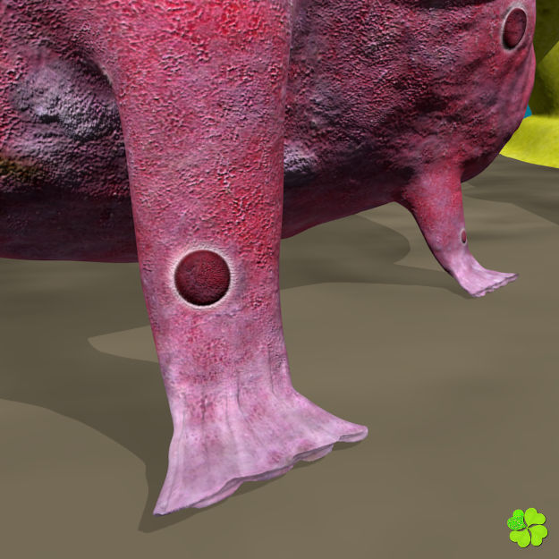 Antennarius rigged low poly Low-poly 3D model_10