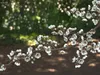 Tree Branches Collection 4 3D Model Pack | CGTrader