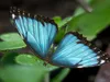 Insects Rigged Collection 3D Model Pack | CGTrader
