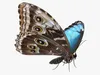 Insects Rigged Collection 3D Model Pack | CGTrader