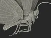 Animated Flying Monarch Butterfly Rigged for Maya 3D model animated ...
