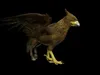 3D model Winged mythical creatures rigged Animated 20 VR / AR / low ...