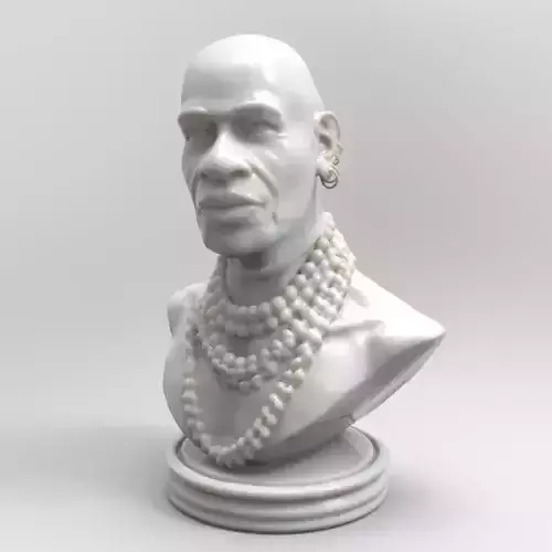 The Nubian Printable Bust 3D print model
