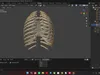 Full Axial Skeleton 3D Model Spine- Rib Cage -Pelvis 3D model | CGTrader