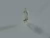 Full Axial Skeleton 3D Model Spine- Rib Cage -Pelvis 3D model | CGTrader