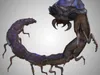 Blattodacid 3D model rigged | CGTrader