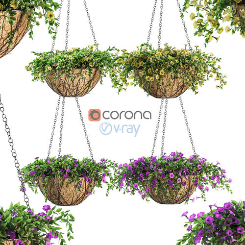 Flowers in a flower pot on a chain - Petunia - 4 models 3D model