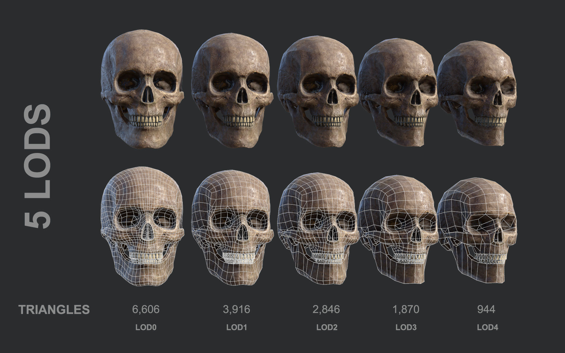 Lowpoly Skull three different skulls Low-poly 3D model_4