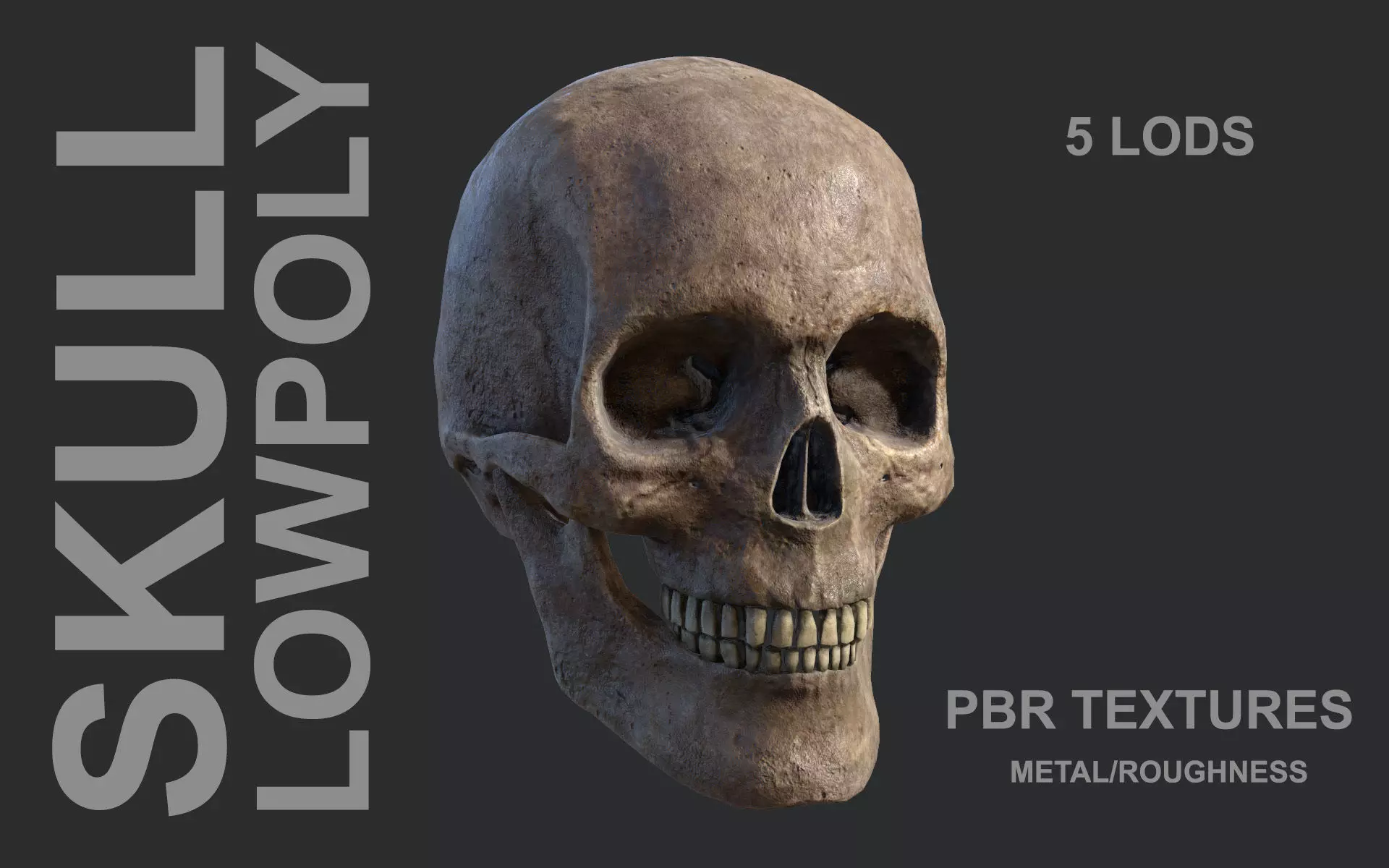 Lowpoly Skull three different skulls Low-poly 3D model_0